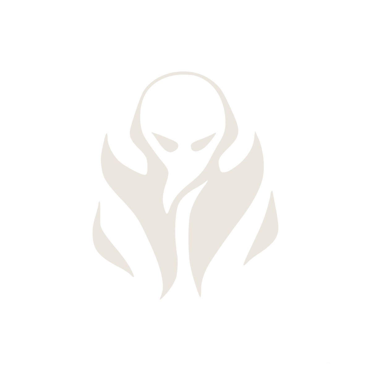 StealthWireVPN Logo